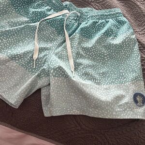 Chubbies Aqua and White Patterned Shorts